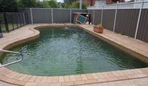 Can You Swim In A Pool With Algae Is It Safe Find Your Swim